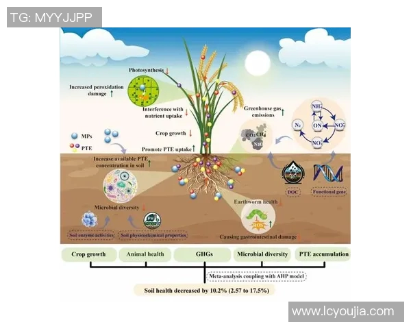 KPL赛季落空背后的原因分析与未来展望探讨