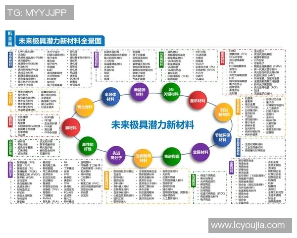 探索Tianba控图PEL的应用潜力与技术创新驱动的未来发展趋势