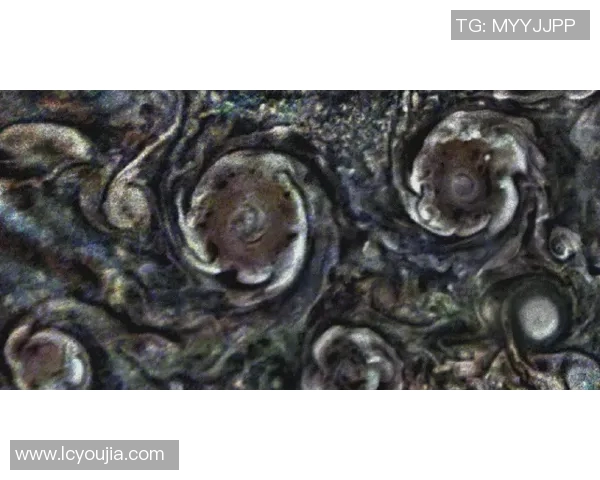 探索AG仙崽架区的奇妙世界与独特魅力，揭开隐藏的秘密与故事